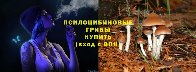 KRAKEN как войти  Межгорье  Псилоцибиновые грибы Psilocybine cubensis 